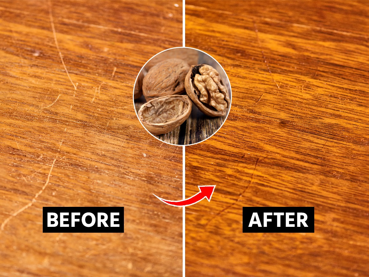 लाकडी फर्निचरवर स्क्रॅच पडले? १ अक्रोडाची जादू, ओरखडे होतील सहज कमी Marathi News Fix Wood