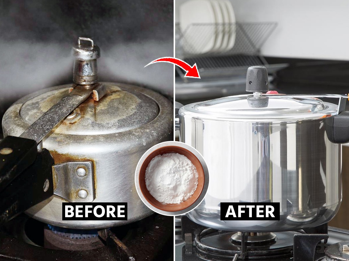 वरणमसाल्यांचे डाग पडल्याने कुकरचं झाकण पिवळं पडलंय? ३ टिप्स, शिट्टी