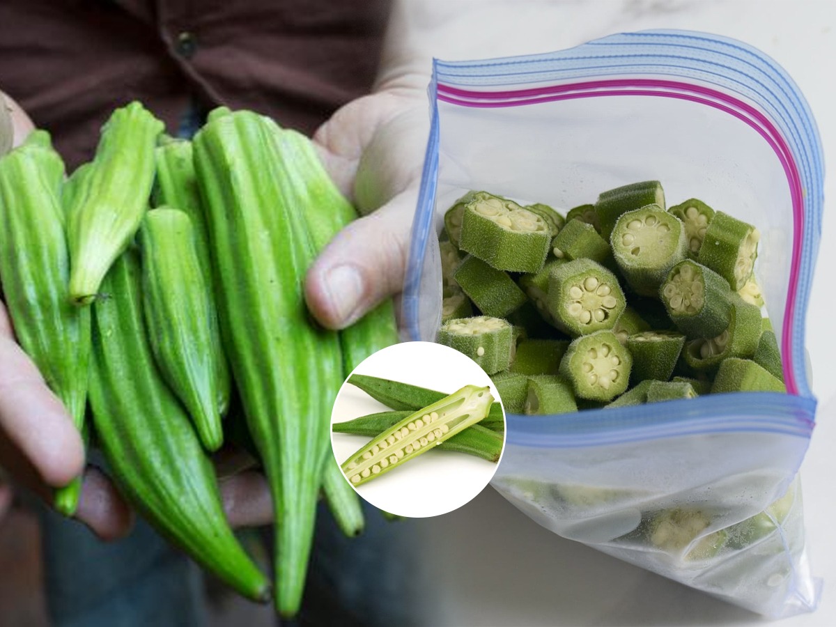 भेंडी हिरवीगार ताजी राहावी म्हणून ४ सोप्या टिप्स, फ्रिजमध्ये ठेवून