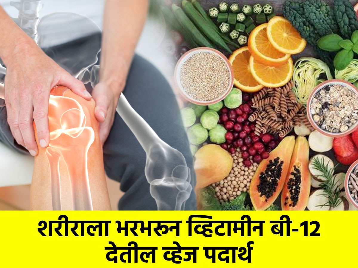 थकवाअशक्तपणा जाणवतो, B१२ कमी? भरपूर व्हिटामीन B१२ असणारे ५ पदार्थ खा