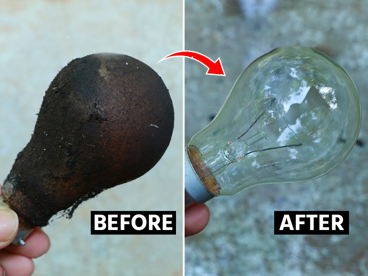 इलेक्ट्रिक बल्ब स्वच्छ करताना लक्षात ठेवा ५ गोष्टी, नाहीतर बसायचा शॉक