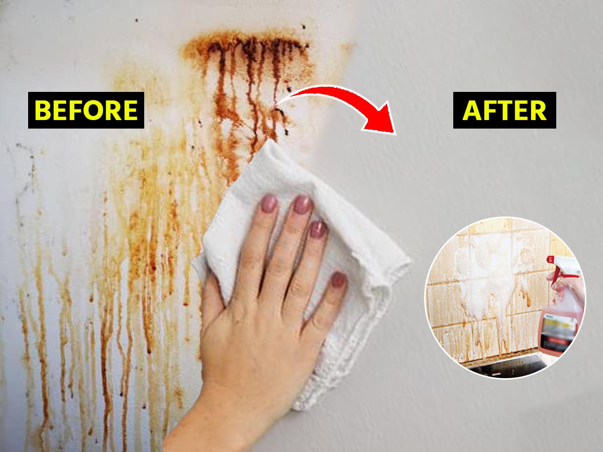 किचनच्या भिंतीवरचे तेलाचे मेणचट चिकट डाग काढण्यासाठी ४ सोपे उपाय, भिंत