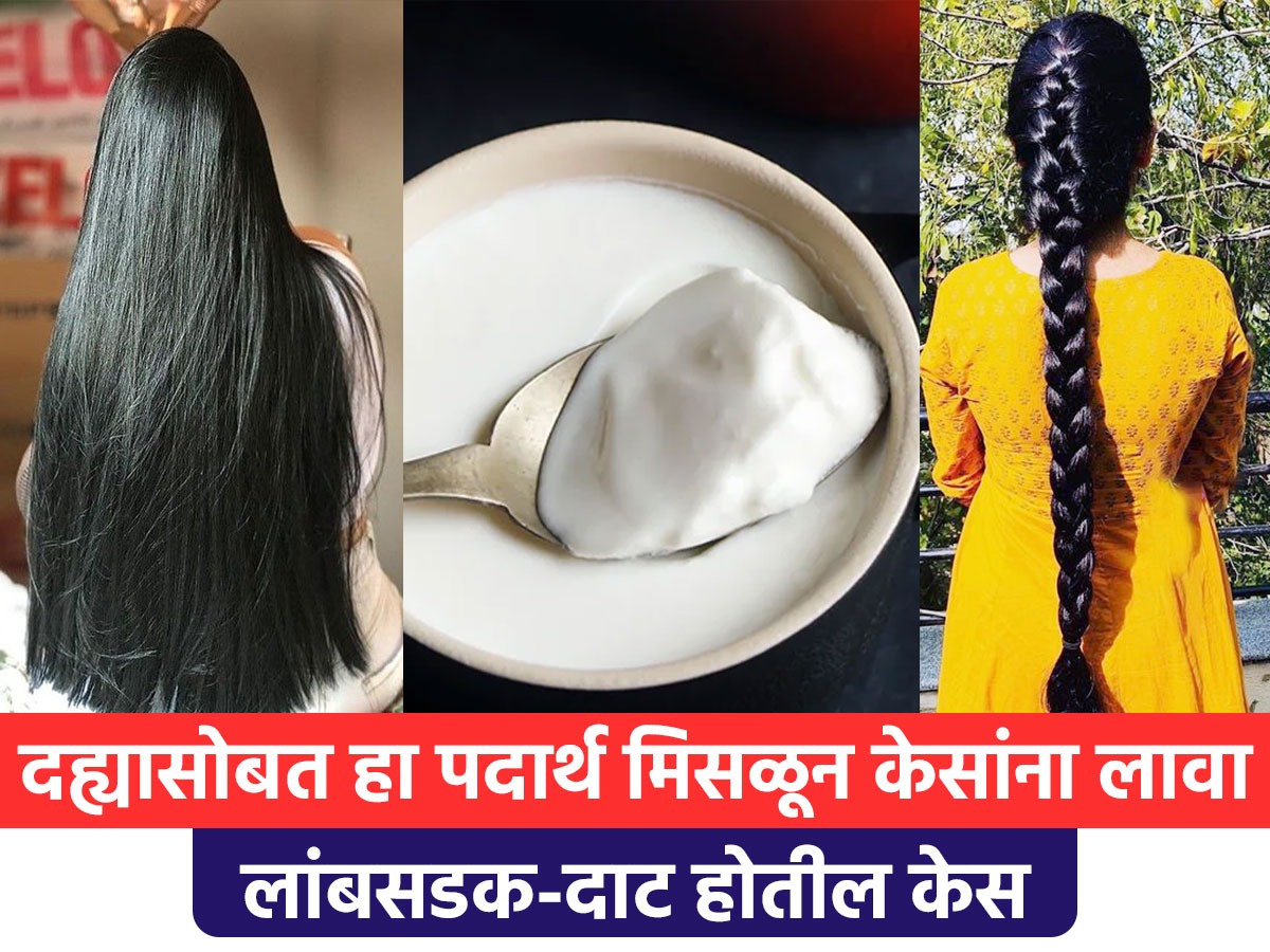 रोज गळून गळून केस पातळ रफ झालेत? दह्यात 'हा' पदार्थ मिसळून लावा, मऊ