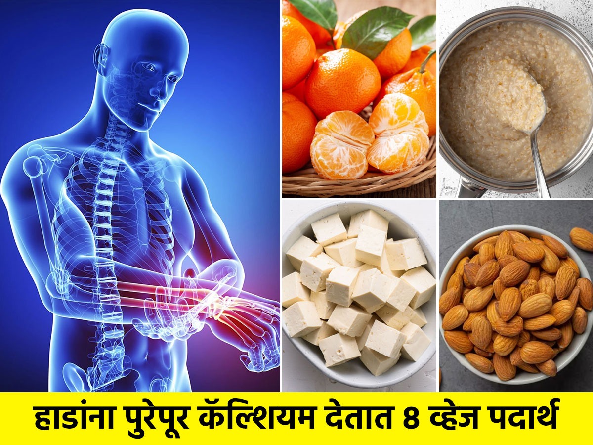 भरपूर कॅल्शियम असणारे ८ व्हेज पदार्थ रोज खा; बळकट हाडांसाठी उत्तम आहार