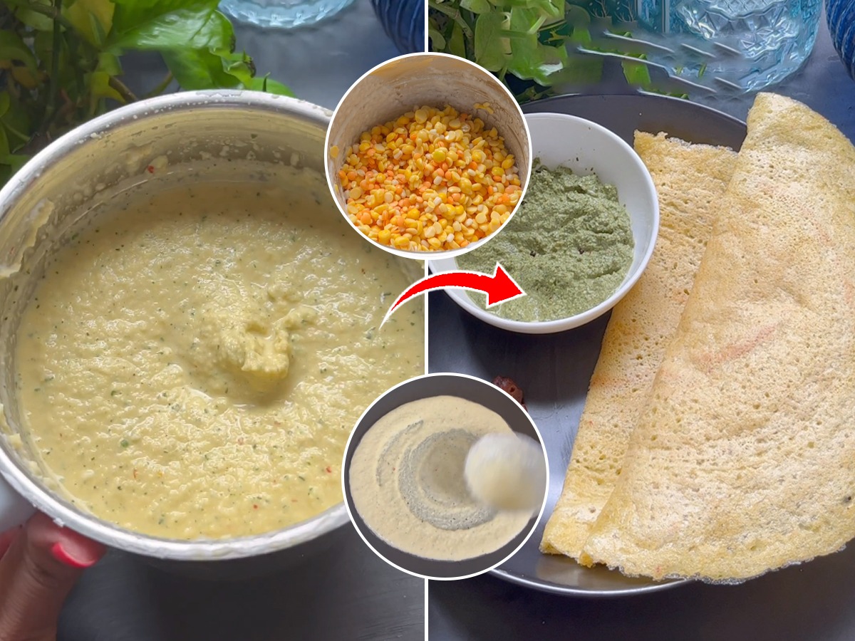 न आंबवता ५ डाळींचा करा प्रोटीन डोसा! वजन कमी करण्यासाठी बेस्ट नाश्ता