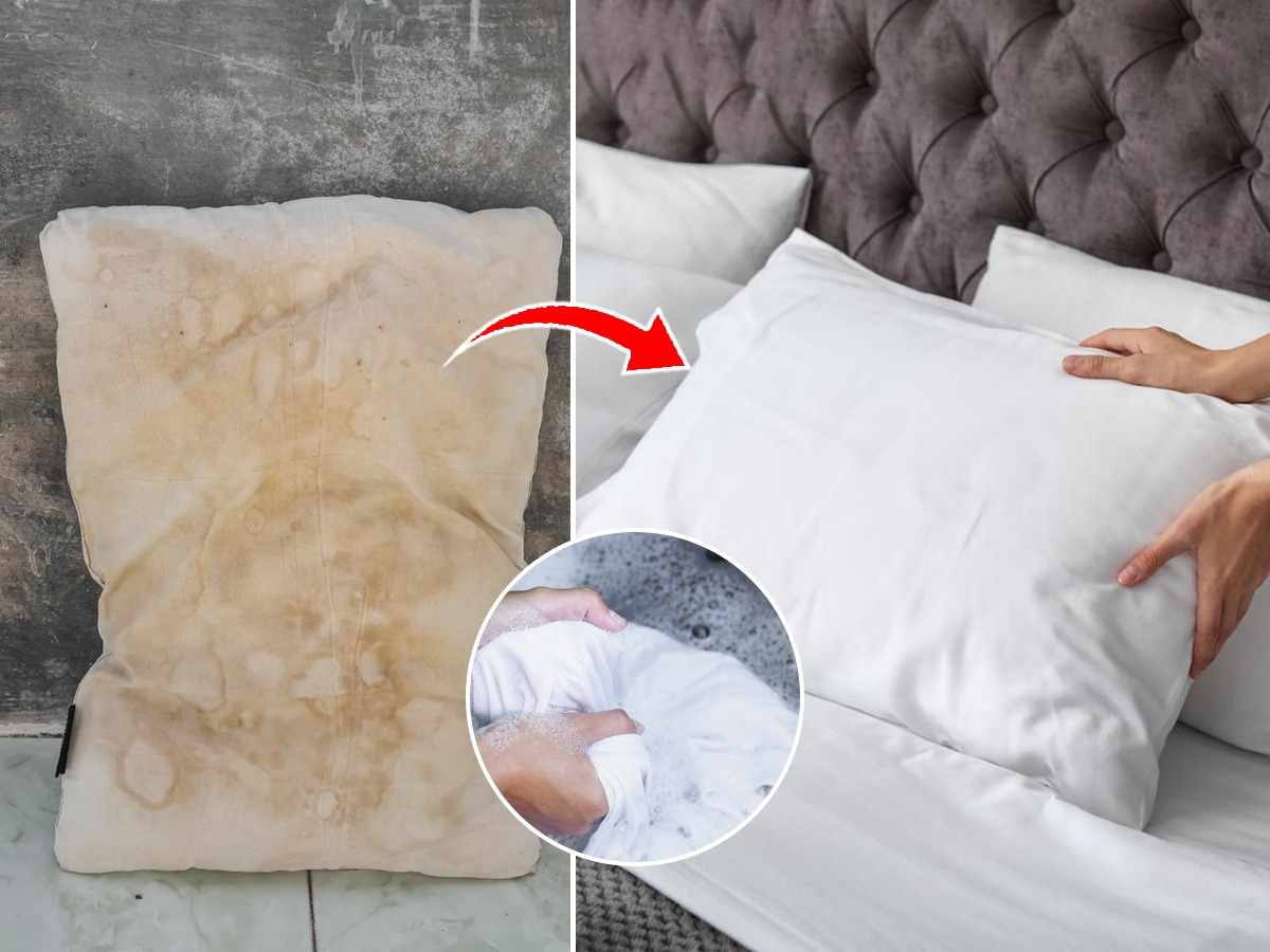 उशीच्या महागड्या कव्हरवर तेलाचे डाग पडले ? उशी कव्हर धुण्याची १ सोपी