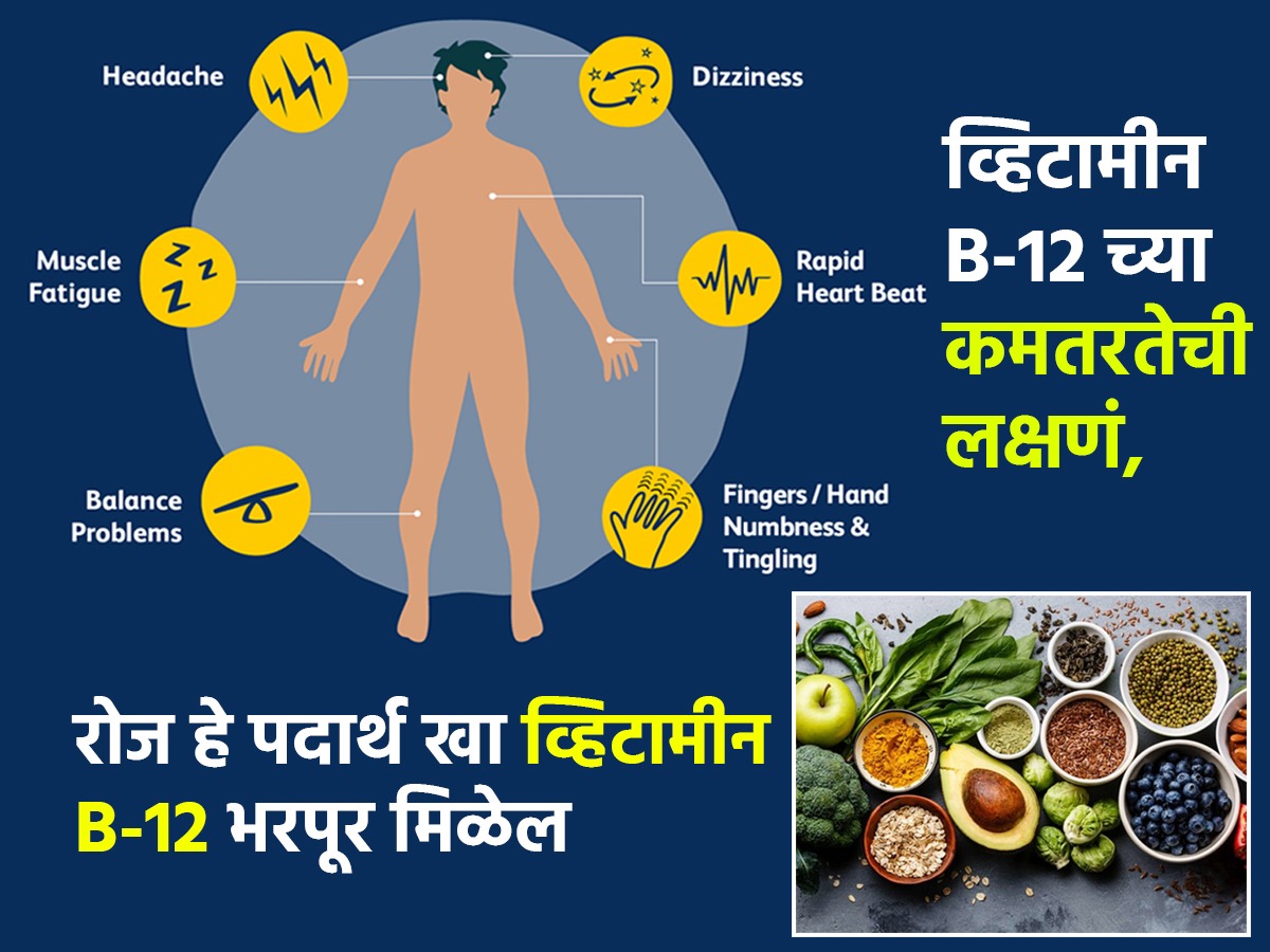 सतत थकल्यासारखं वाटतं, व्हिटामिन B12 कमी झाले? ८ पदार्थ खा, भरपूर
