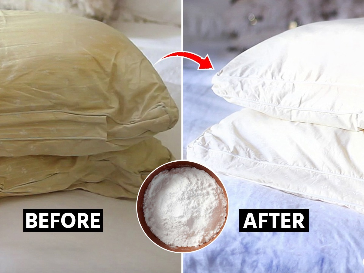 फक्त ५ रुपयांचा बेकिंग सोडा आणा आणि कळकट घाणेरड्या उशा करा स्वच्छ, पाहा