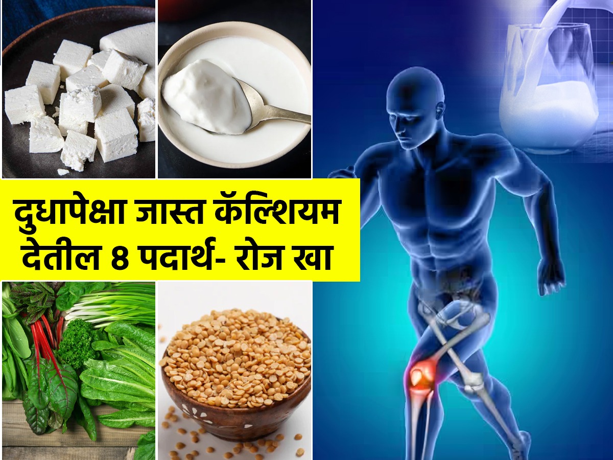 दुधापेक्षा दुप्पट कॅल्शियम देतील ८ पदार्थ; प्रोटीनकॅल्शियम भरभरून