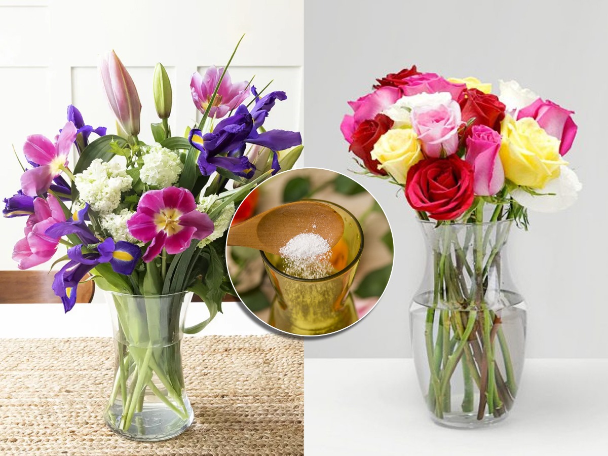 फ्लॉवरपॉटमध्ये ठेवलेली फुलं सुकू नयेत म्हणून ४ उपाय, आठवडाभर फुलं