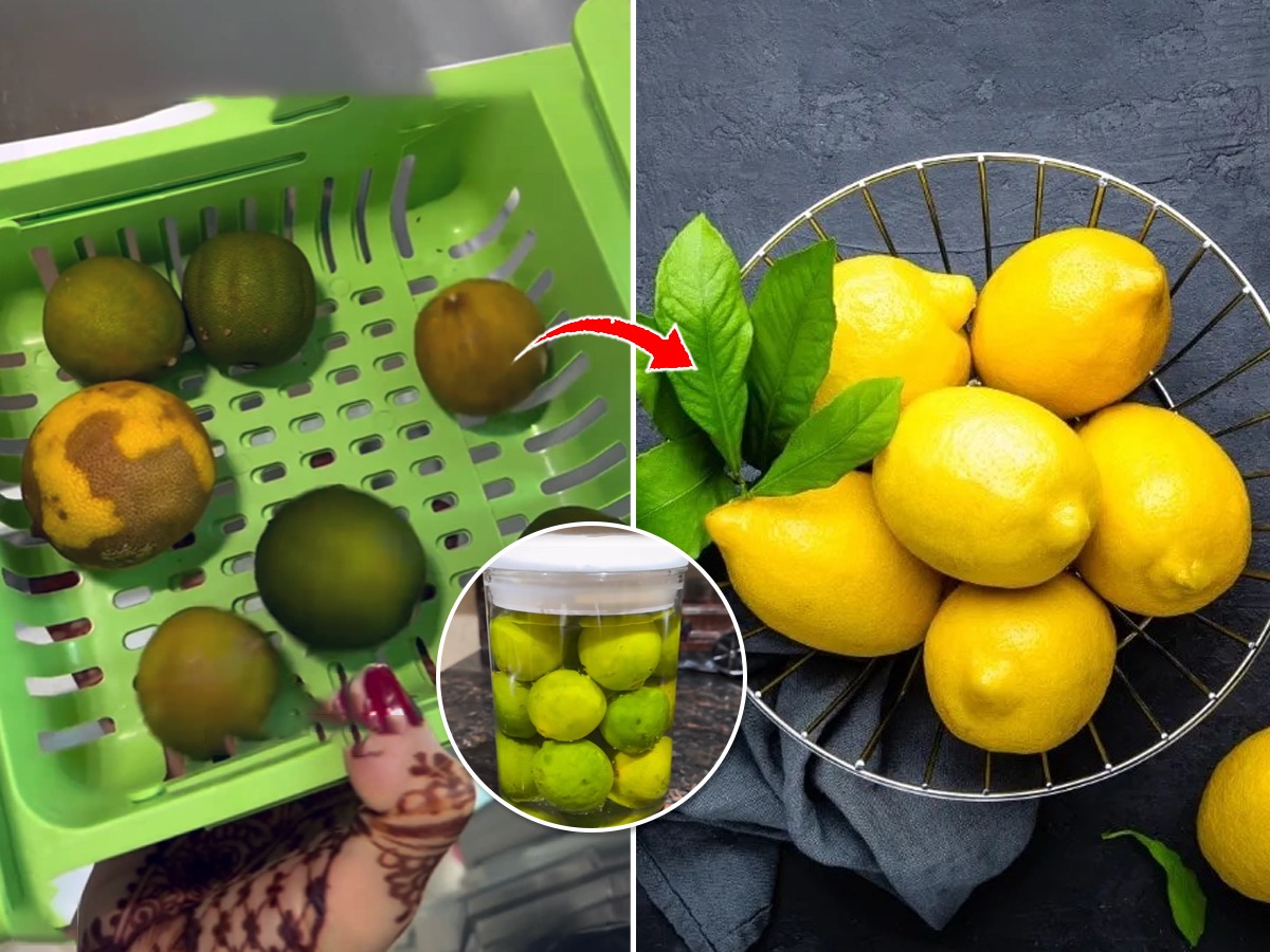 How to Store Lemons So They Stay Fresh