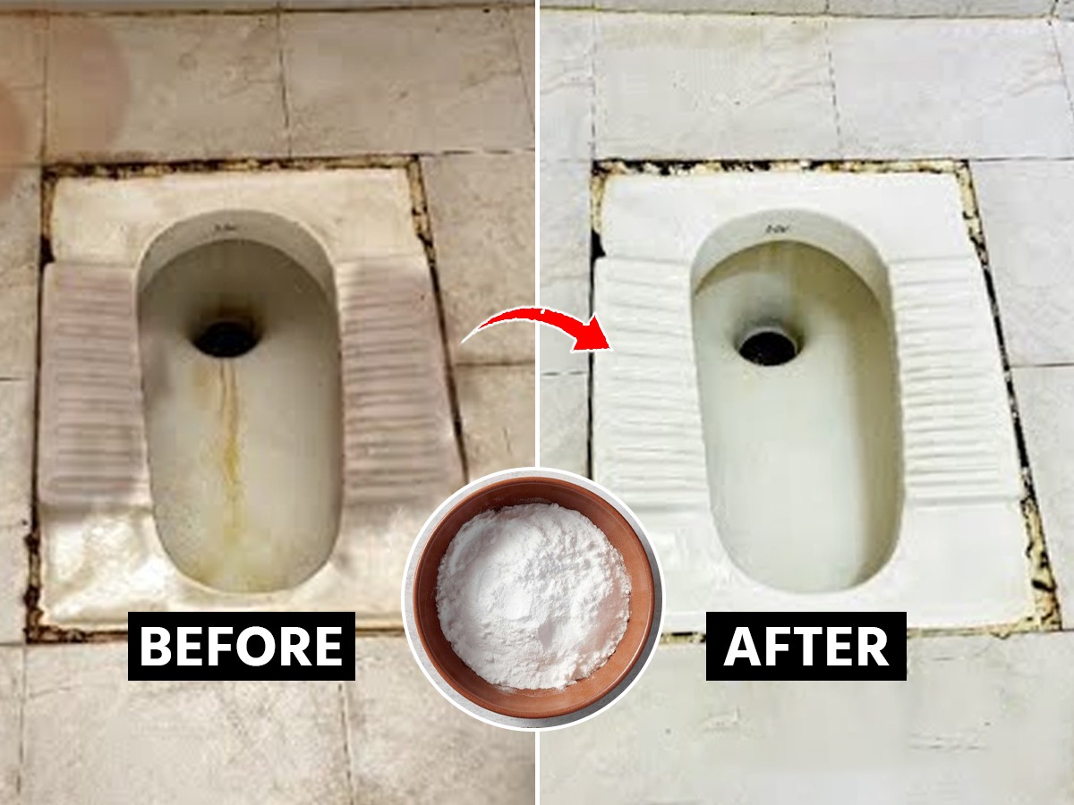 घरातल्या टॉयलेट सीटवर काळेपिवळे डाग पडले? ३ ट्रिक्स, स्वच्छ दिसेल
