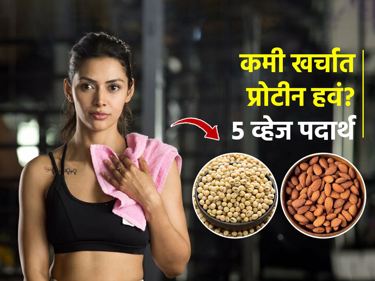 कोण म्हणतं प्रोटीनसाठी खूप खर्च लागतो? 20 रुपयांत भरपूर प्रोटीन देतील ५ पदार्थ, मजबूत होतील हाडं