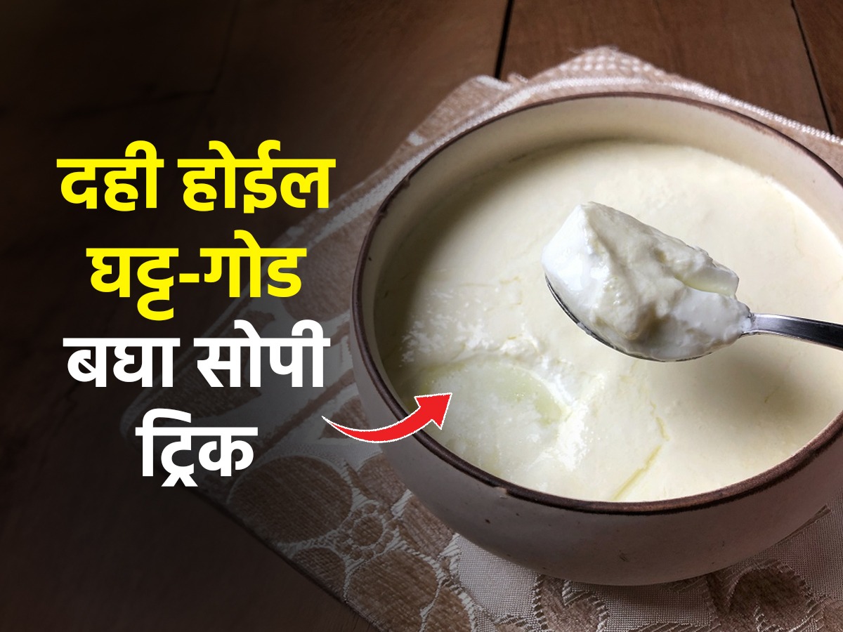 थंडीमुळे दही खूपच पातळ होतं? बघा १ सोपा उपाय दही होईल घट्ट आणि चवदार