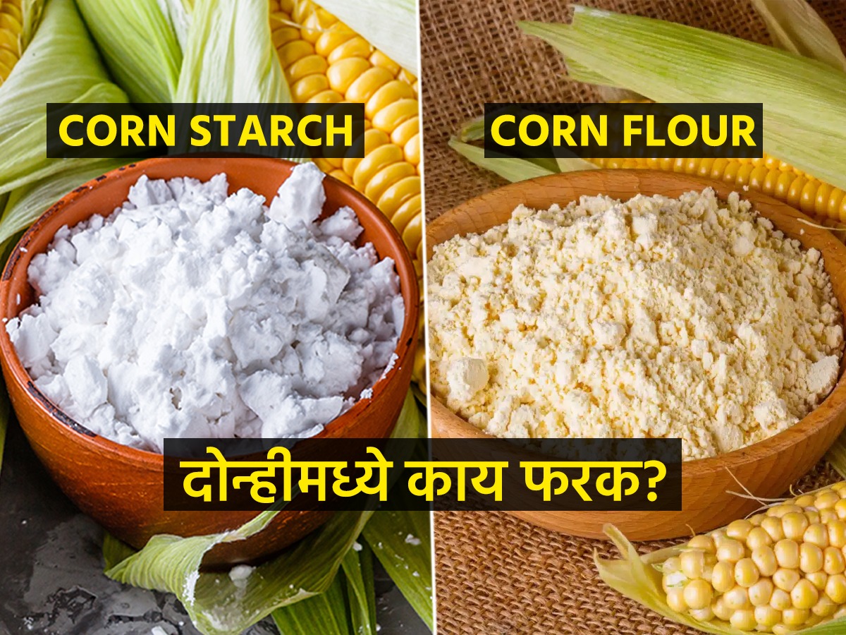 कॉर्न स्टार्च आणि कॉर्न फ्लोअर यात नेमका काय फरक? पदार्थ बिघडेल पाहा काय वापरायचं? Marathi