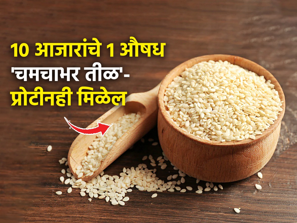 मकर संक्रांत विशेष प्रोटीनव्हिटामीनचा खजिना आहेत १ चमचा तीळ; १० आजार