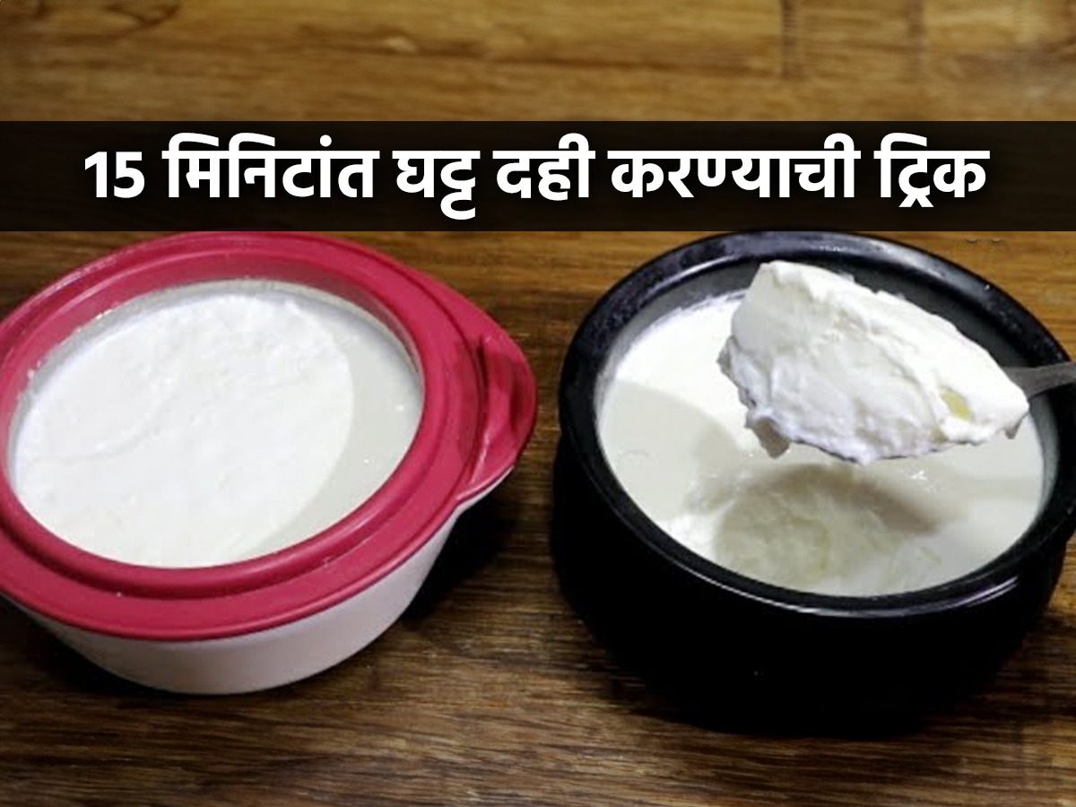 घट्ट दही घरीच लावण्याच्या ४ ट्रिक्स; परफेक्ट लागेल दही, ताककढी काहीही