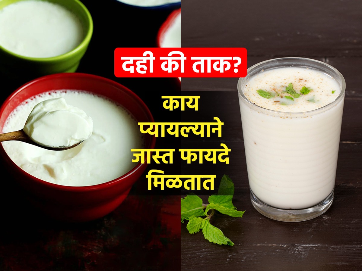 दही की ताकवजन कमी करण्यासाठी फायदेशीर काय? डॉक्टर सांगतात दोघांतील फरक