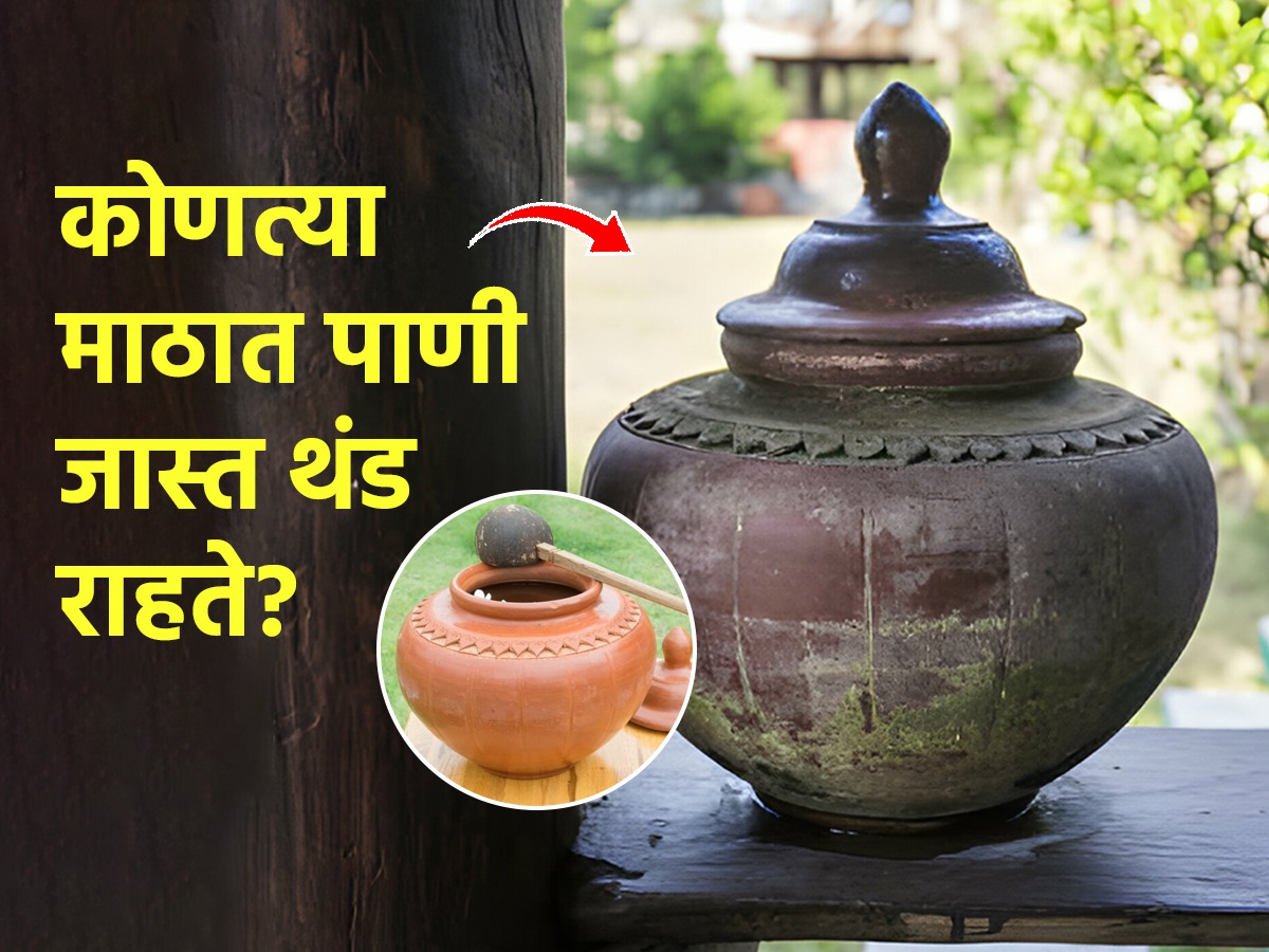 लाल की काळा कोणता माठ वापरावा? माठात 'ही' वस्तू घालाफ्रिजसारखं थंडगार
