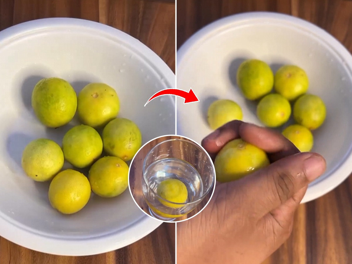 लिंबू जास्त दिवस टिकविण्याचा सोपा उपाय, ३ ४ महिने लिंबू राहतील फ्रेश
