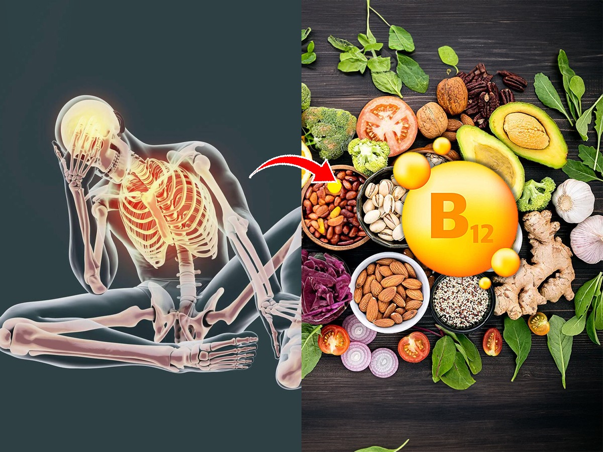 सतत थकवाहाडं पोकळखिळखिळी? कारण व्हिटामीन B12 ची कमतरता; ५ पदार्थ खा, व्हा स्ट्रॉँग Marathi
