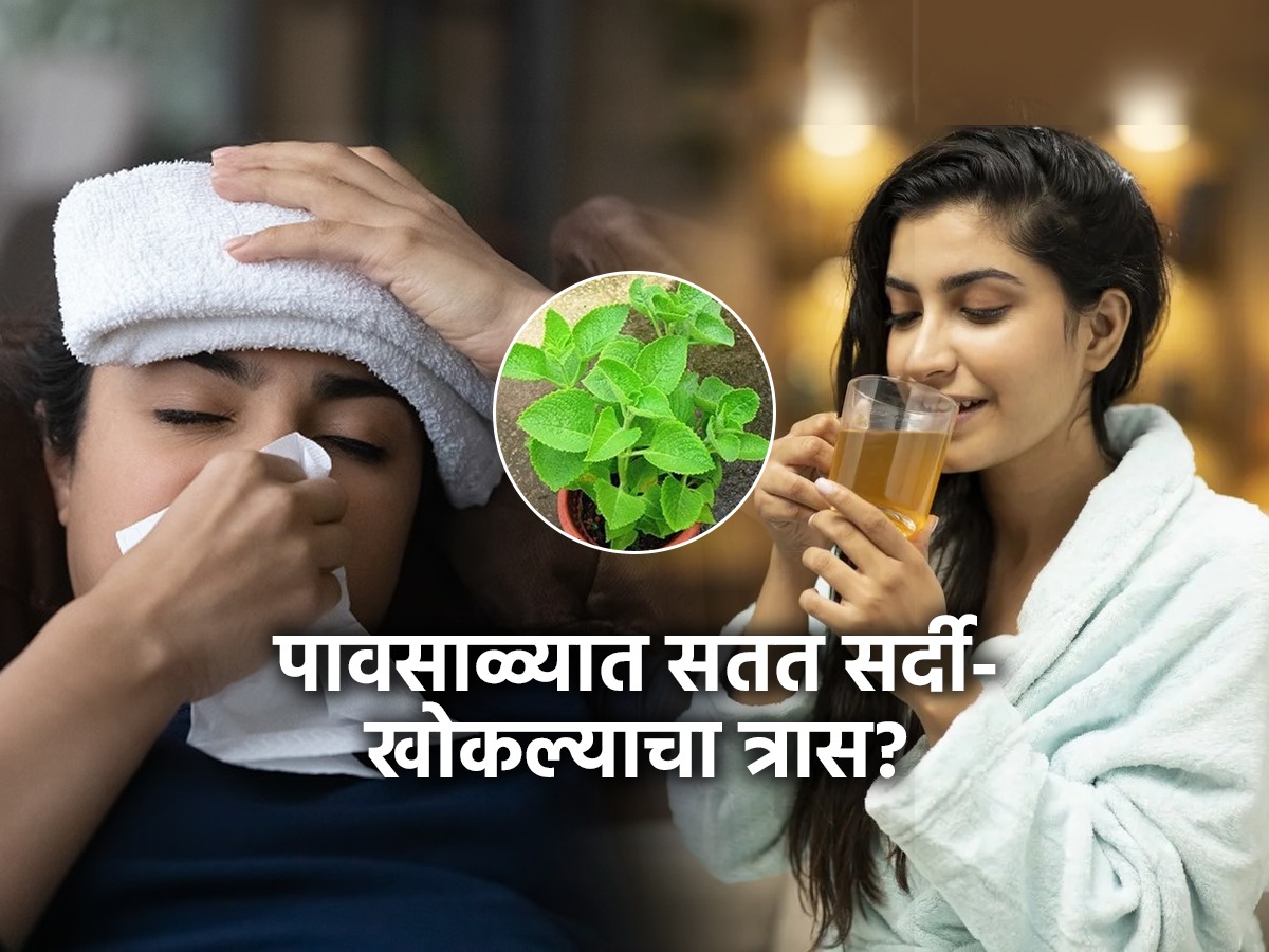 पावसाळ्यात होणाऱ्या सर्दीखोकल्यावर पाहा असरदार इलाज, २ खास रेसिपी