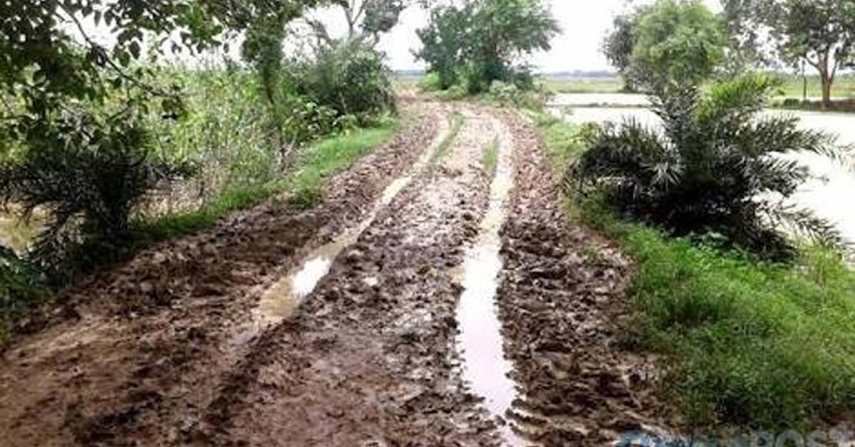 Panand Raste पाणंद रस्त्यासाठी ५ हजार २४७ किमीचे प्रस्ताव, मंजुरी केवळ ५५४ किमीलाच ...