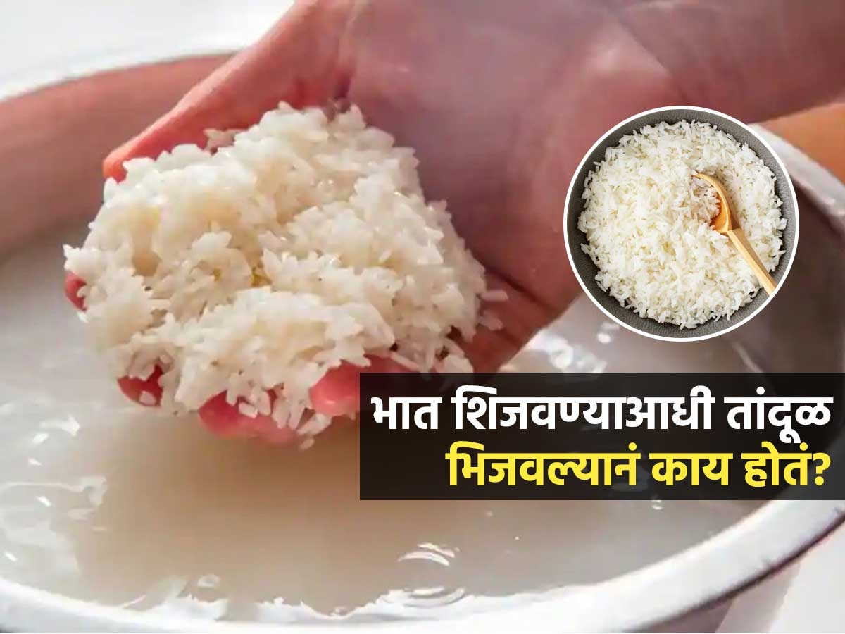What Is Before Rice ...म्हणून भात शिजवण्याआधी तांदूळ भिजवावा; तांदूळ भिजवून भात केल्यावर ...