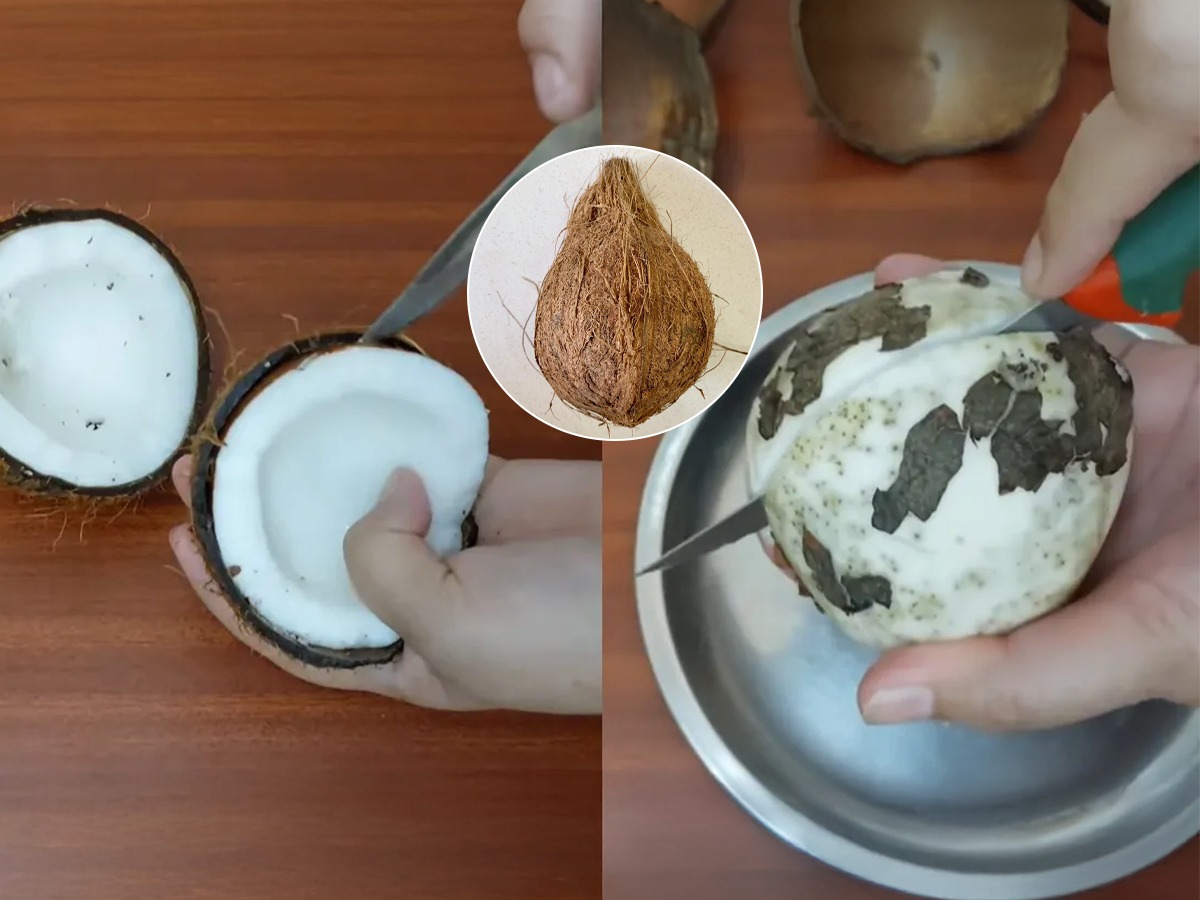 Best Way To Break A Coconut