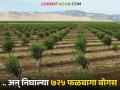 बनावट पीकविमा प्रकरणी तपासणी सुरू; आतापर्यंत ७२५ ठिकाणच्या बोगस फळबागा उघडकीस - Marathi News | Investigation into fake crop insurance case begins; 725 bogus orchards exposed so far | Latest agriculture News at Lokmat.com