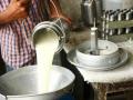 भाव मिळत नसल्याने चंद्रपूर जिल्ह्यातील दूध उत्पादक हवालदिल - Marathi News | Chandrapur district milk producer in trouble because the prices are not getting | Latest chandrapur News at Lokmat.com