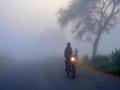 Maharashtra Weather : राज्यात पुढील तीन दिवस राहणार थंडीचा कडाका - Marathi News | Maharashtra Weather Cold weather Cold weather will remain in the state for the next three days | Latest pune News at Lokmat.com