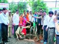 महापालिकेतर्फेशहरात वृक्षारोपण मोहीम - Marathi News |  Amazing tree plantation campaign in the municipal corporation | Latest nashik News at Lokmat.com