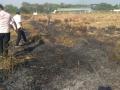 आनंदवन परिसरातील नऊ एकरातील जनावरांचा चारा जळून खाक - Marathi News | cattle feed in ​​Anandvan area burned out | Latest chandrapur News at Lokmat.com