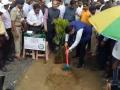 आनंदवनात वनमहोत्सवाला प्रारंभ; देवेंद्र फडवणीस यांनी लावले रोपटे - Marathi News | Anandavane Vanamahotsav started; Planted by Devendra Phadavnis | Latest chandrapur News at Lokmat.com