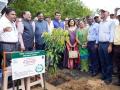 वृक्ष लागवडीतून वसुंधरेचे ऋण फेडावे - Marathi News | Release the Earth loan from the cultivation of trees | Latest chandrapur News at Lokmat.com