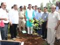 शिवाजी विद्यापीठात १३ हजार रोपांची लागवड - Marathi News | 13 thousand seedlings planted at Shivaji University | Latest kolhapur News at Lokmat.com
