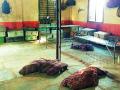 बस आगारातील रेस्ट रूम सुविधांविना - Marathi News | Without the restroom facilities in the bus depot | Latest gadchiroli News at Lokmat.com