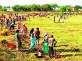 दाेन महिन्यात ३३ हजार मनुष्यदिन राेजगार निर्मिती - Marathi News | 33,000 man-days of employment generation in the month of Daen | Latest gadchiroli News at Lokmat.com