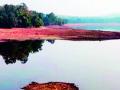शहराची लाईफलाईन असलेल्या मानागड तलावात ठणठणाट - Marathi News | Managad lake, which is the lifeline of the city | Latest gondia News at Lokmat.com