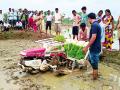 शेतकरी गटांना रोवणी यंत्रांचे वाटप - Marathi News | Distribution of seeding machines to farmer groups | Latest gondia News at Lokmat.com