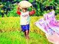 पीक कर्ज वाटपात राष्ट्रीय बँकाची पिछाडी - Marathi News | National Bank lags behind in crop loan allocation | Latest gondia News at Lokmat.com