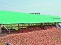 कांदा सडू लागल्यामुळे लाखो रु पयांचे नुकसान - Marathi News |  Millions of rupees damage due to onion burns | Latest nashik News at Lokmat.com
