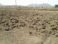 पेरण्यांसाठी पावसाची प्रतीक्षा - Marathi News |  Waiting for rain for sowing | Latest nashik News at Lokmat.com