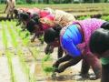 आटकवडे येथे महिला शेतकऱ्यांना कीटकनाशक हाताळणीचे प्रशिक्षण - Marathi News | Pesticide handling training for women farmers at Atakwade | Latest nashik News at Lokmat.com