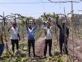 द्राक्ष बागांच्या खरड छाटणीला वेग - Marathi News | Accelerate pruning of vineyards | Latest nashik News at Lokmat.com