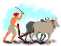 शेतकऱ्यांना तोंड दाबून बुक्क्यांचा मार - Marathi News | Punching farmers in the face | Latest nashik News at Lokmat.com