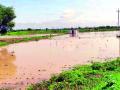बंधाऱ्याच्या ‘बॅक वॉटर’मुळे पीक जलमय - Marathi News | The crop is waterlogged due to the back water of the dam | Latest vardha News at Lokmat.com