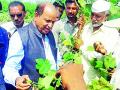गुलाबी बोंडअळीग्रस्तांना नुकसान भरपाई मिळणारच - Marathi News | Pink bollworm victims will get compensation | Latest yavatmal News at Lokmat.com