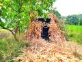 देवळालीगाव परिसरात बिबट्यासाठी पिंजरा - Marathi News |  Cage for leopard in Devlaligong area | Latest nashik News at Lokmat.com